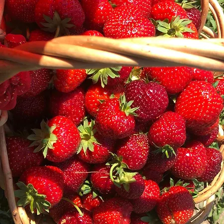 Good Location & Infrastructure * Riga