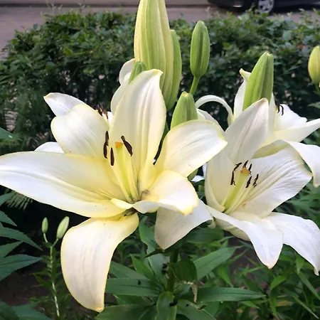 Good Location & Infrastructure Apartamento Riga