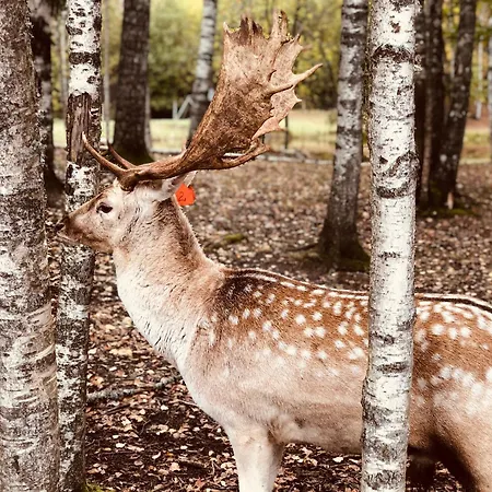 Апартаменты Good Location & Infrastructure