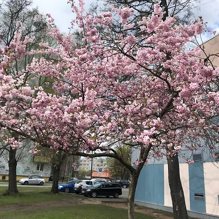 Good Location & Infrastructure Apartamento