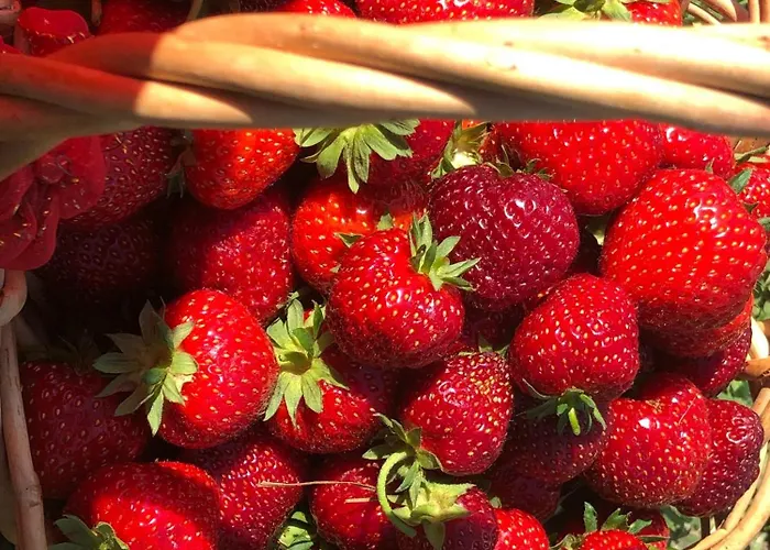 Good Location & Infrastructure * Рига