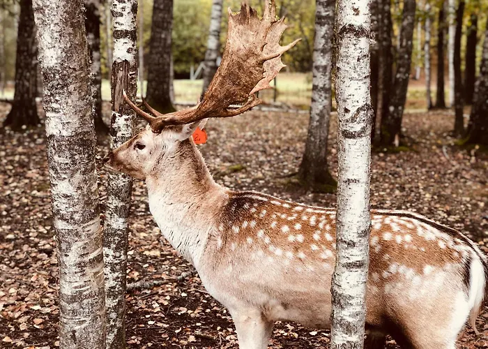 Lägenhet Good Location & Infrastructure