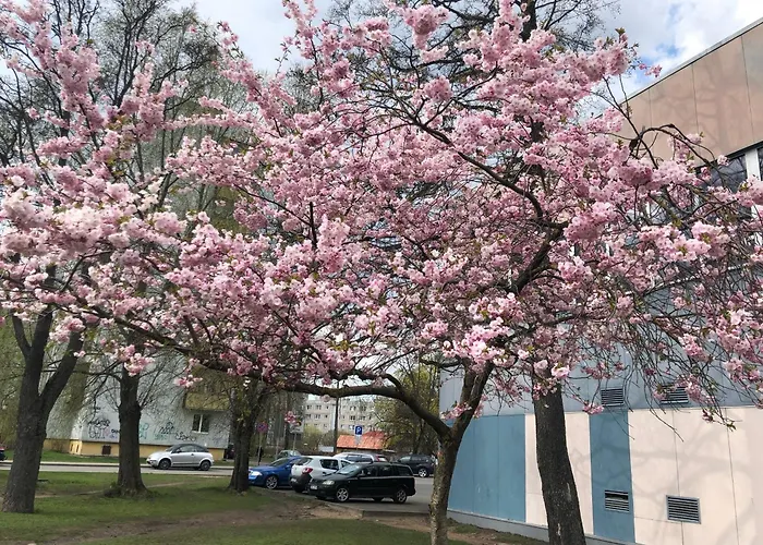 Good Location & Infrastructure Lägenhet